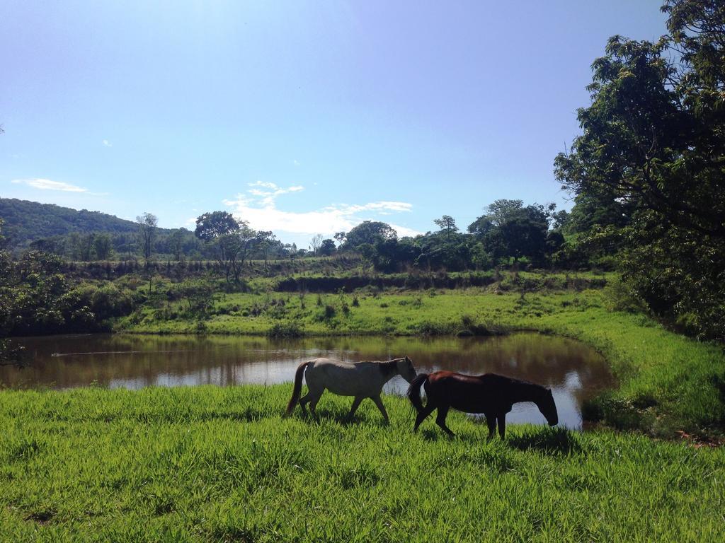 Aguas Vivas Hotel Fazenda Pirenópolis Εξωτερικό φωτογραφία