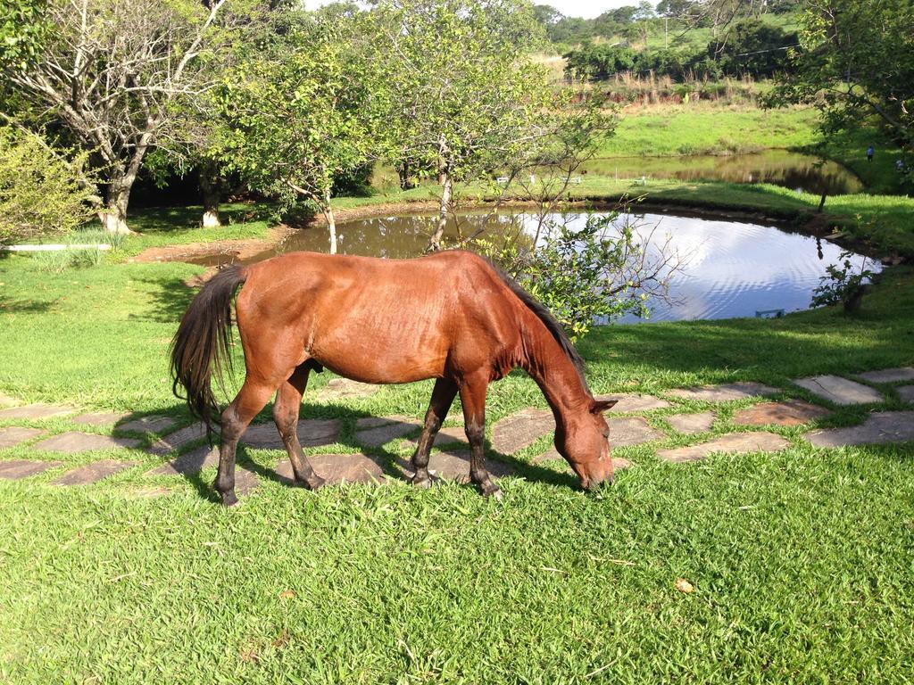 Aguas Vivas Hotel Fazenda Pirenópolis Εξωτερικό φωτογραφία