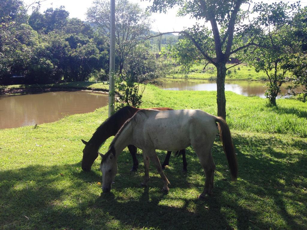 Aguas Vivas Hotel Fazenda Pirenópolis Εξωτερικό φωτογραφία