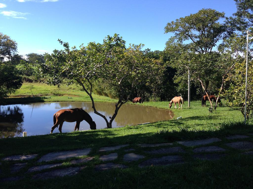 Aguas Vivas Hotel Fazenda Pirenópolis Εξωτερικό φωτογραφία